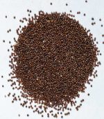 بذر گل اطلسی معطر ایرانی - الوان - فله - تصویر 2