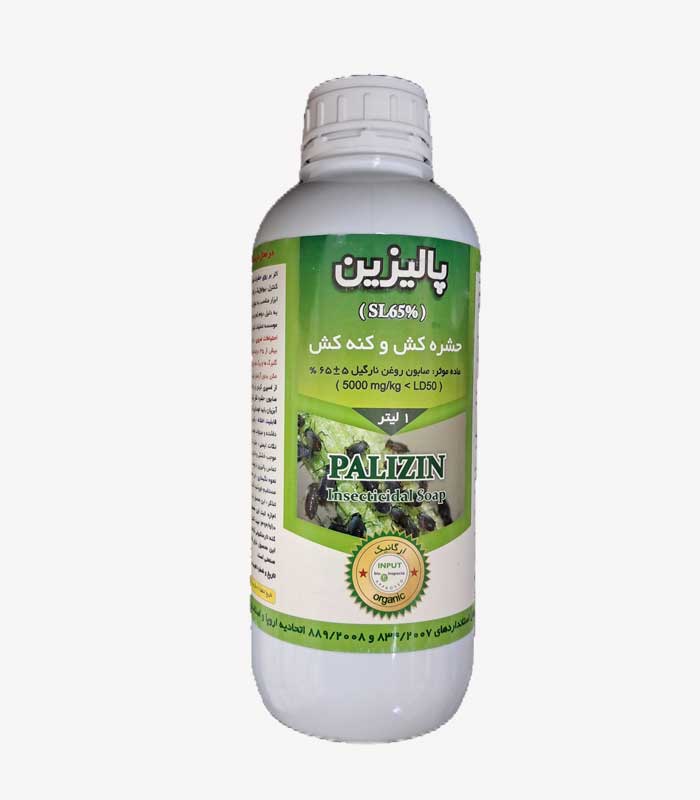 پالیزین